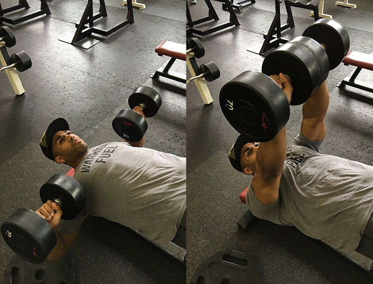 Sammy Collier Day 4 Workout: Chest